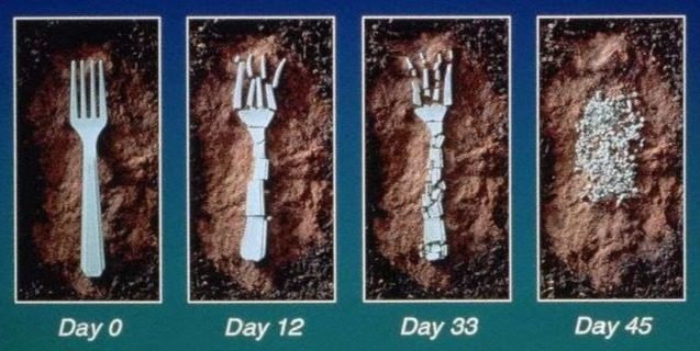 Fork decomposing in soil