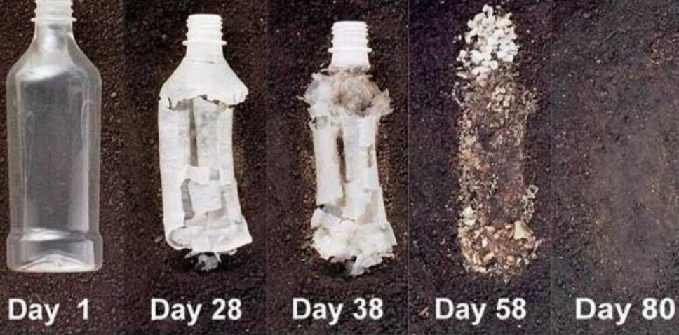 Time lapse panels of bioplastics decomposing in soil in 80 days