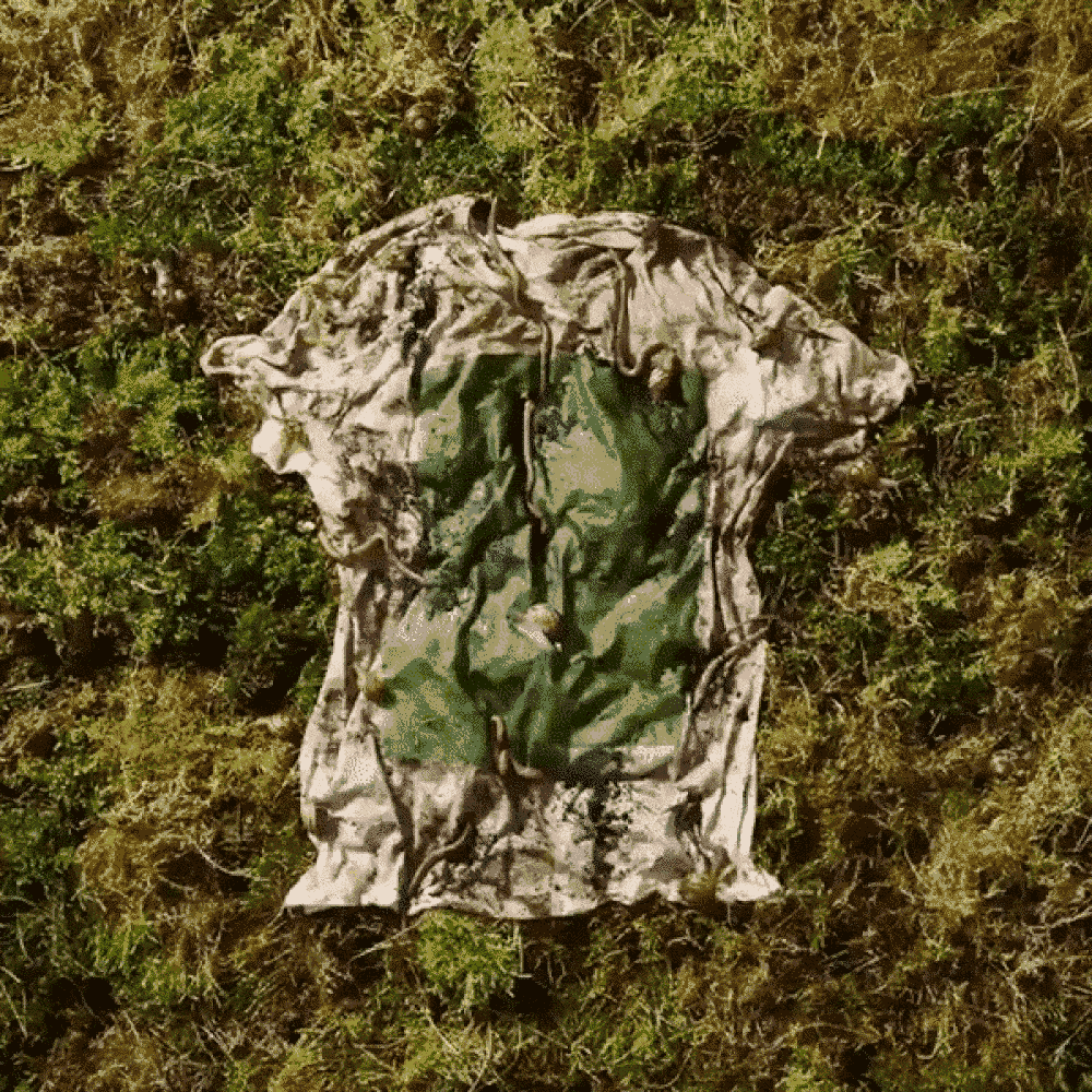 T-shirt degrading in a bed of moss and grass