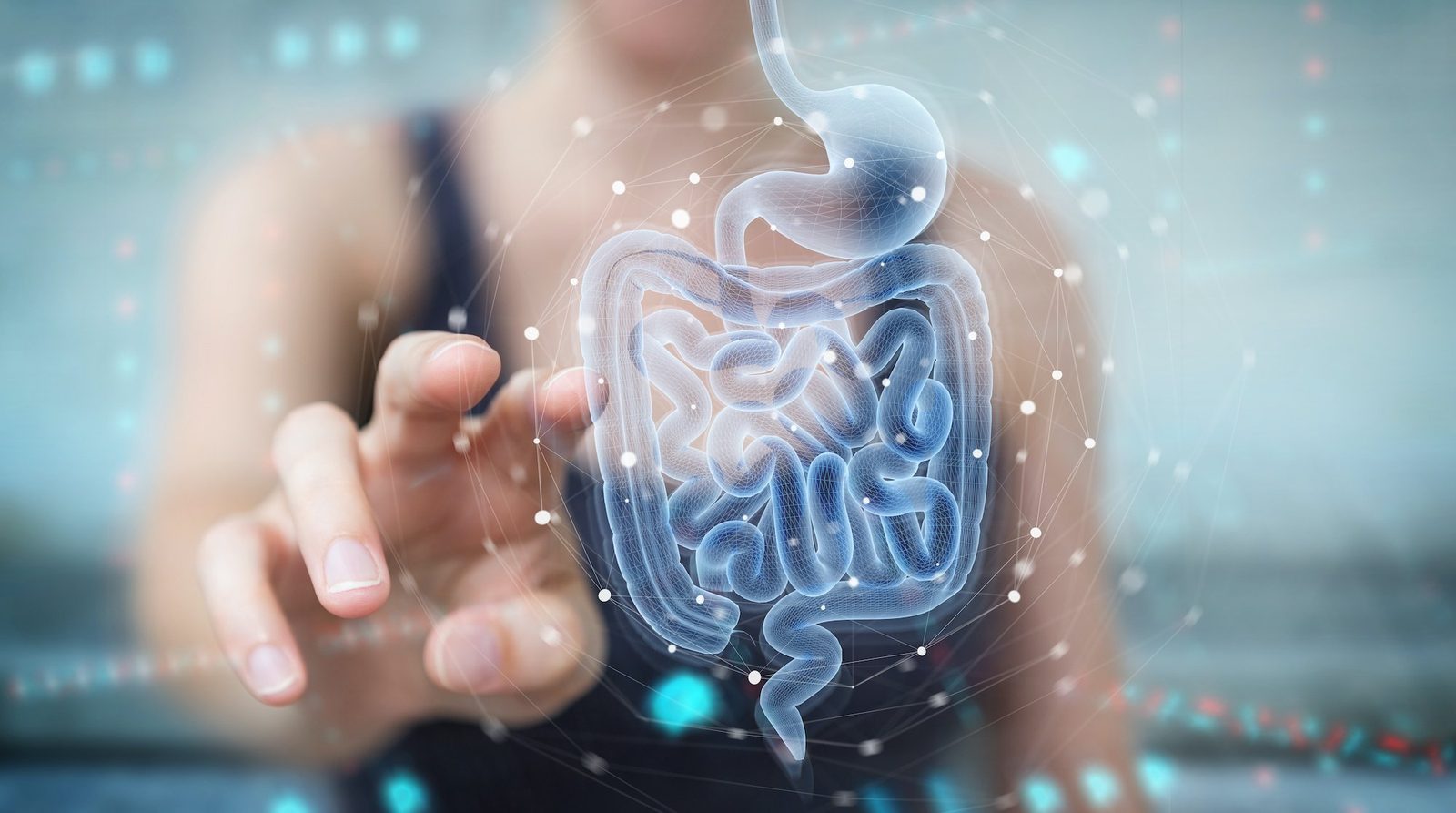 Demystifying Leaky Gut: A Comprehensive Guide to Gut Layer Anatomy