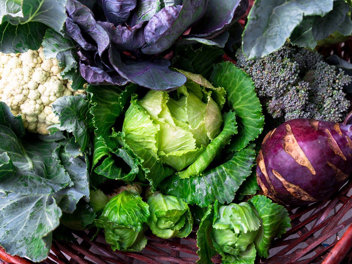14 Signs the Body is Made to Heal and Grow