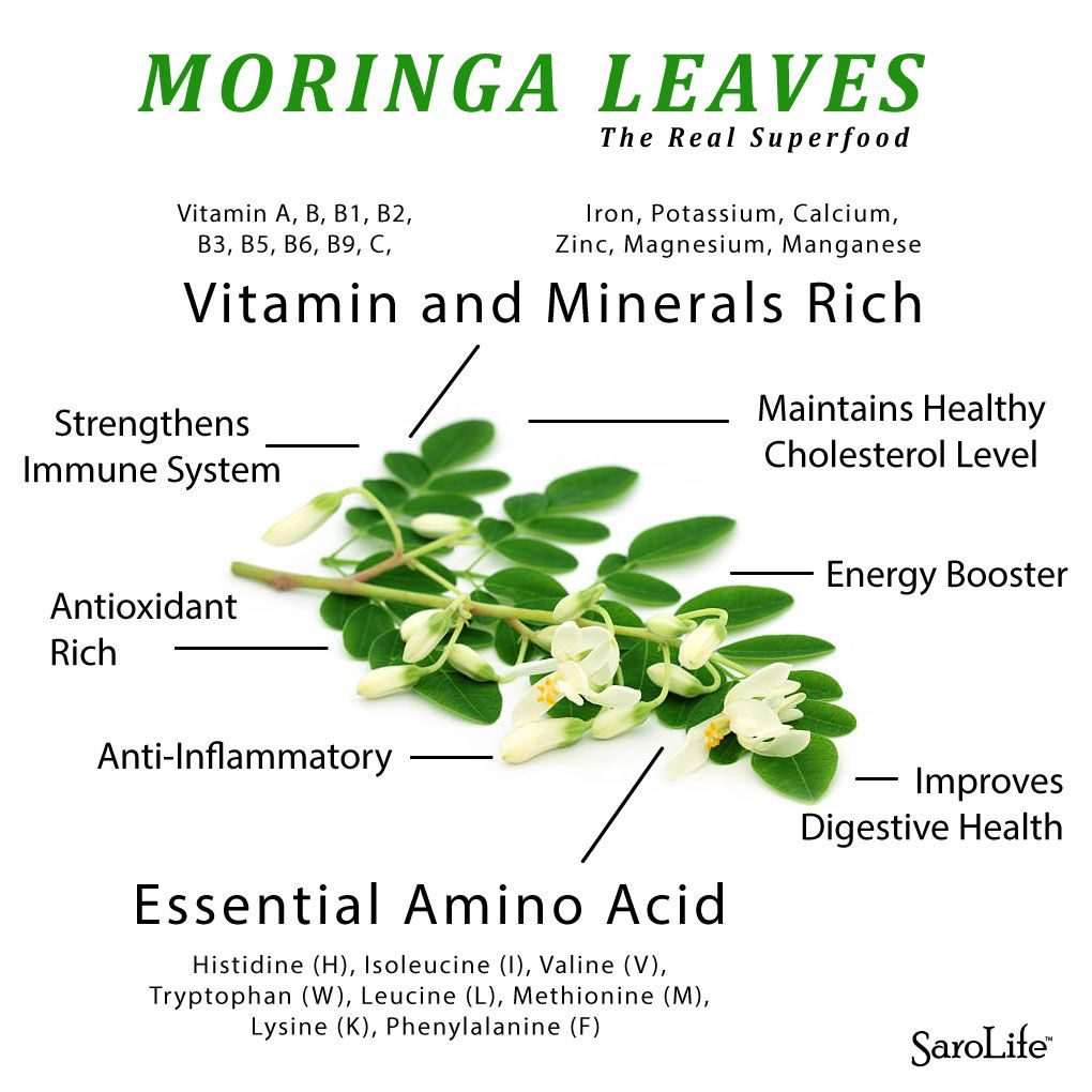 moringa leaves benefits and nutritional components