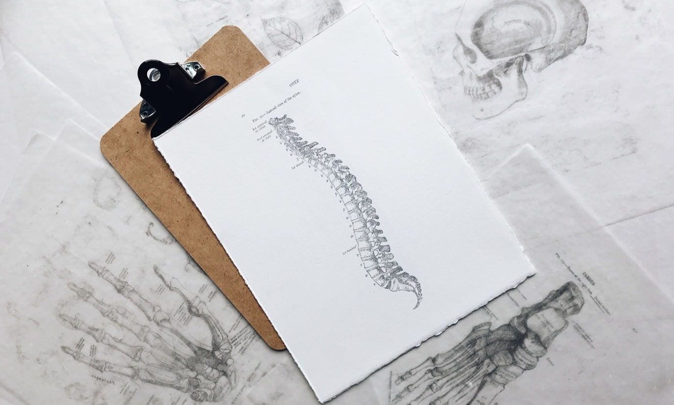 How to Alleviate Back Pain (With Stretches and Exercises)