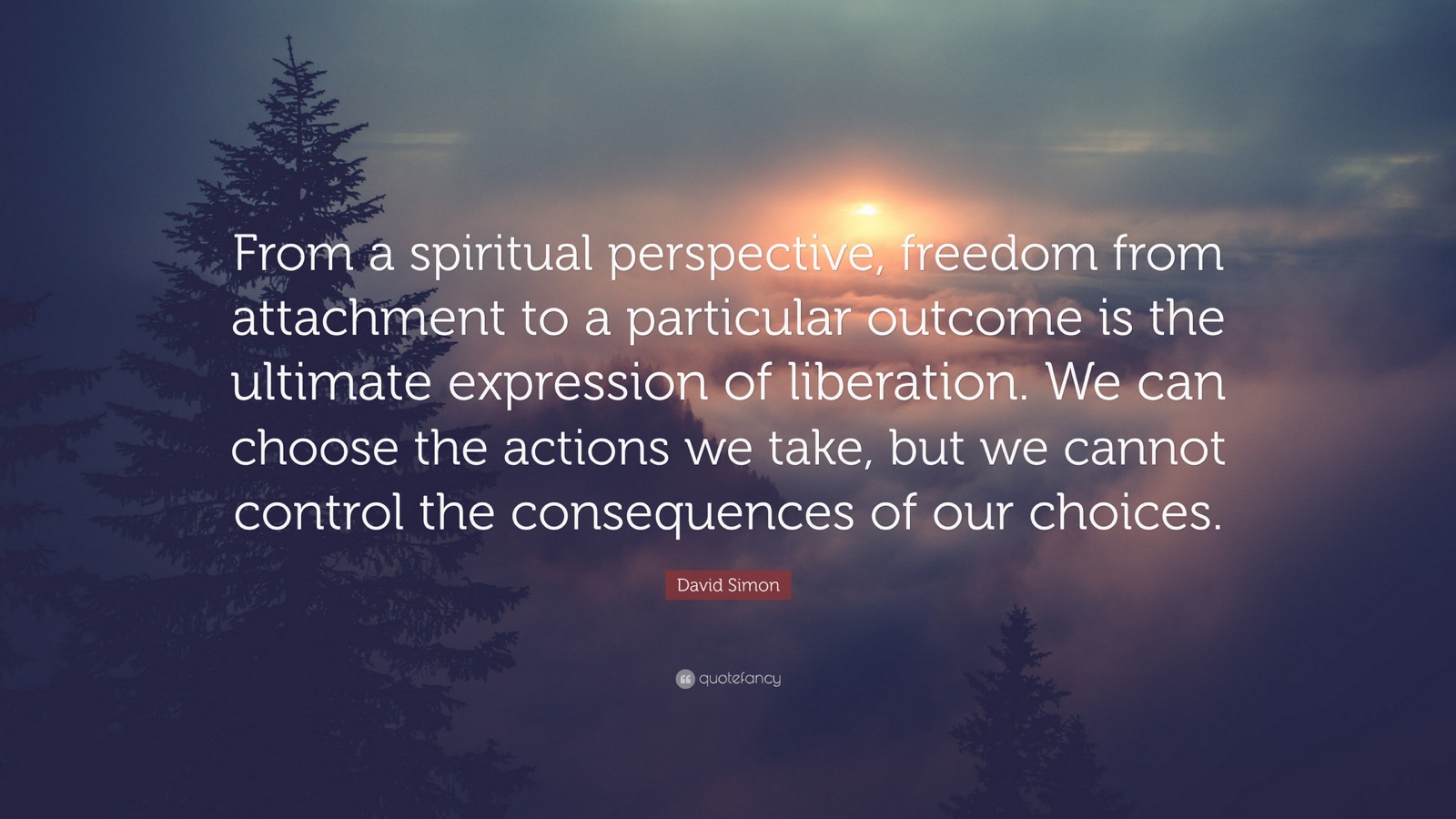 quote by david simon